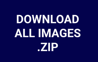 Download All Images